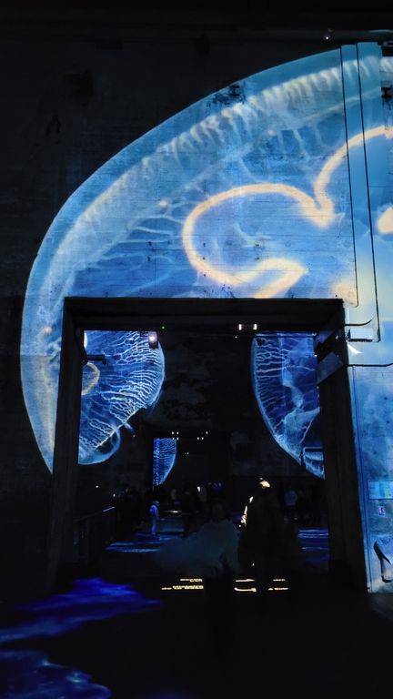 ocean-bassins-des-lumieres-bordeaux-24