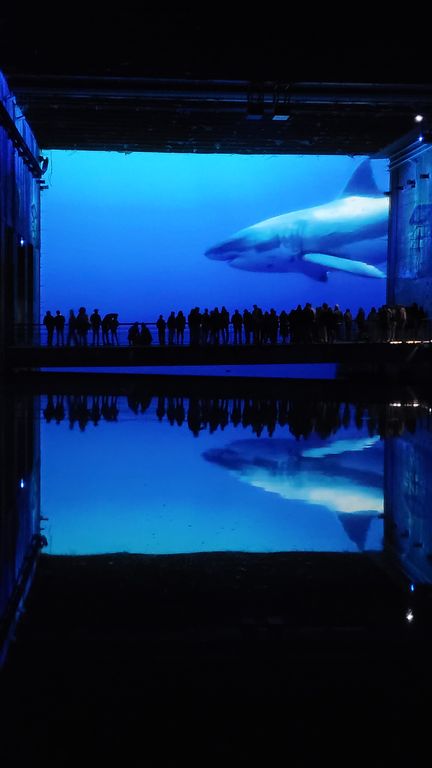 ocean-bassins-des-lumieres-bordeaux-25