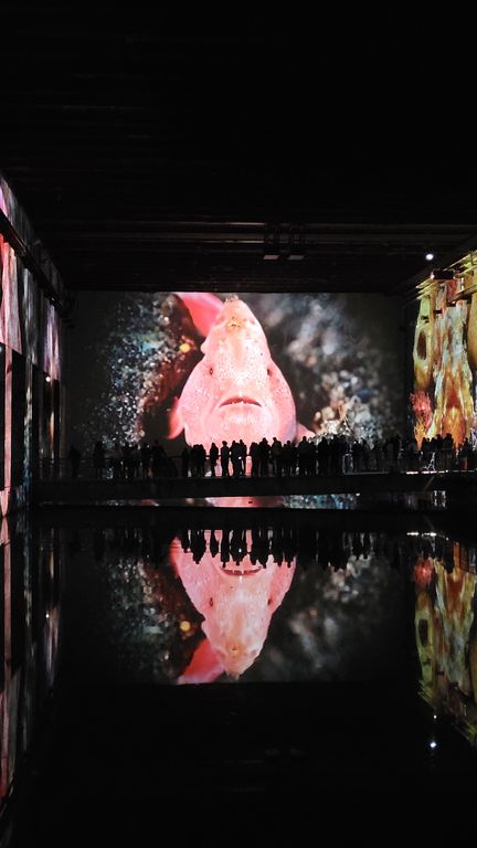 ocean-bassins-des-lumieres-bordeaux-26