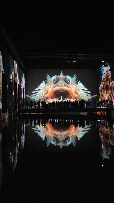 ocean-bassins-des-lumieres-bordeaux-27