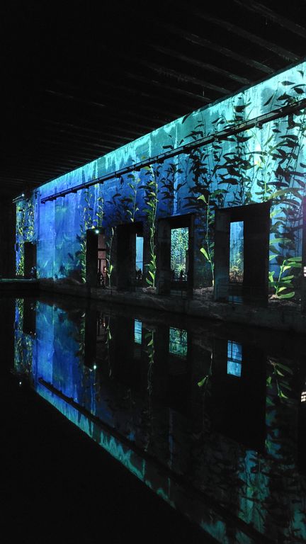 ocean-bassins-des-lumieres-bordeaux-3