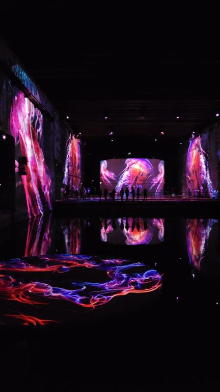 ocean-bassins-des-lumieres-bordeaux-5