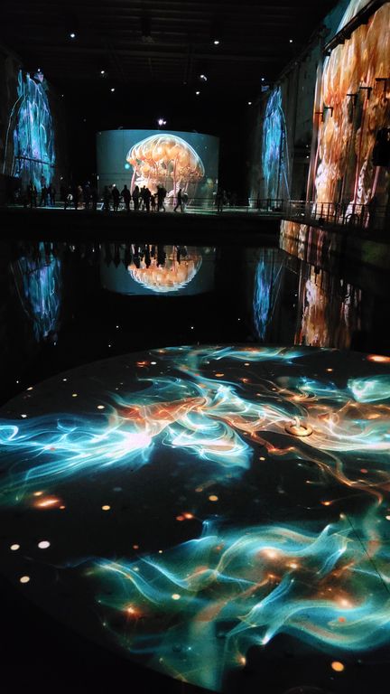 ocean-bassins-des-lumieres-bordeaux-6