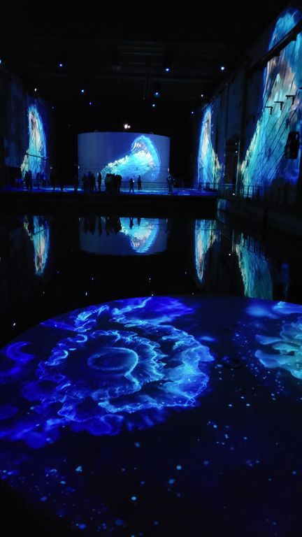 ocean-bassins-des-lumieres-bordeaux-7