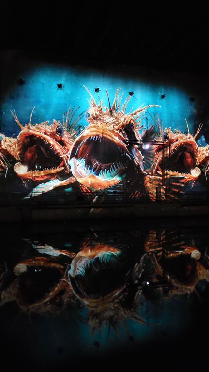 ocean-bassins-des-lumieres-bordeaux-9