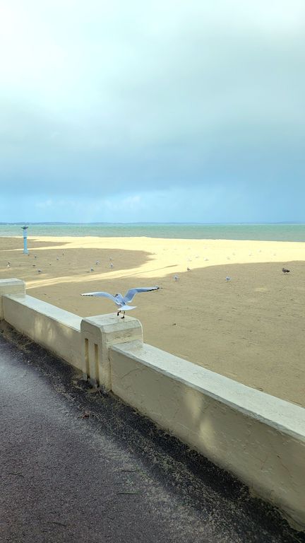arcachon-bassin-mer