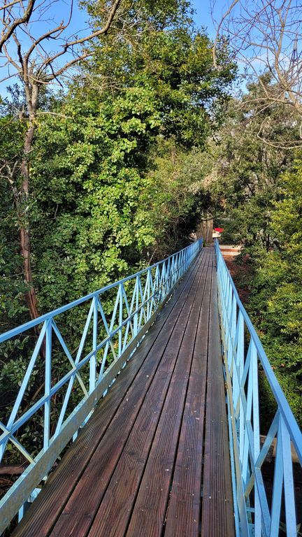 arcachon-passerelle-saint-paul