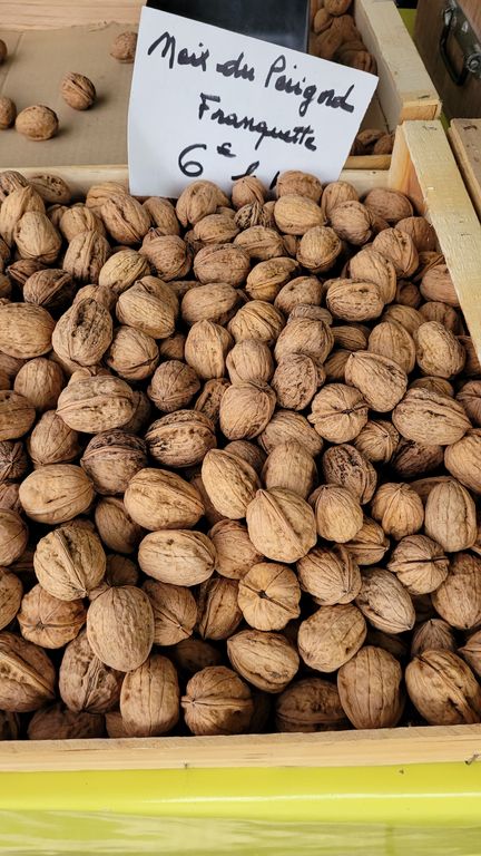 libourne-noix-producteur