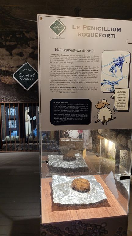 roquefort-visite-caves