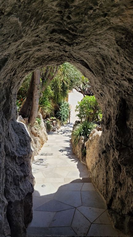 jardin-exotique-cactus-monaco-18