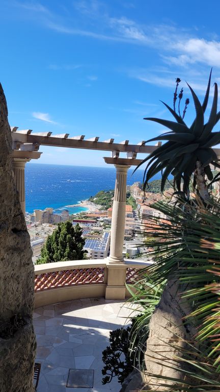 jardin-exotique-cactus-monaco-2