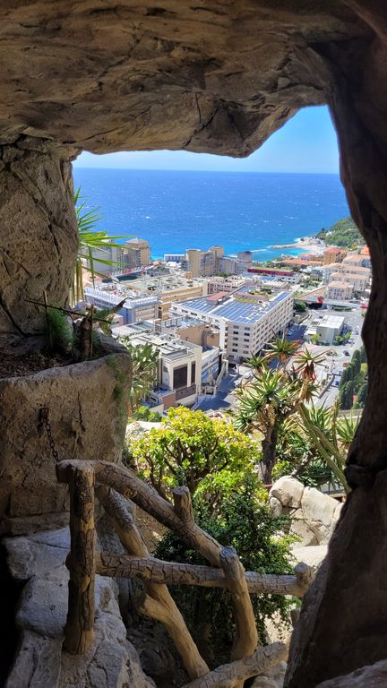 jardin-exotique-cactus-monaco-6