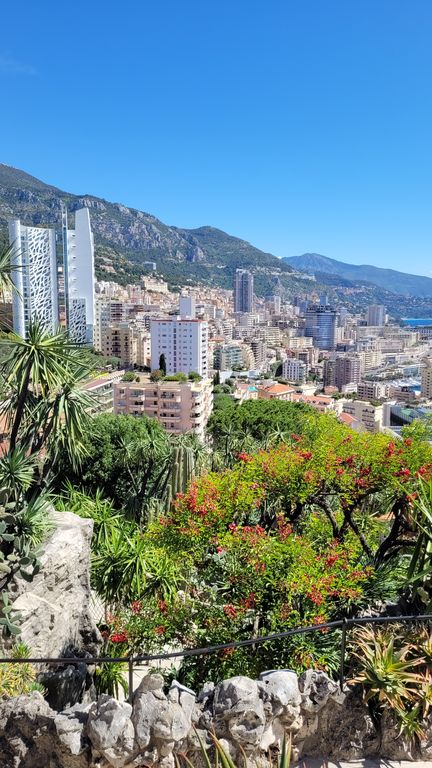 jardin-exotique-cactus-monaco