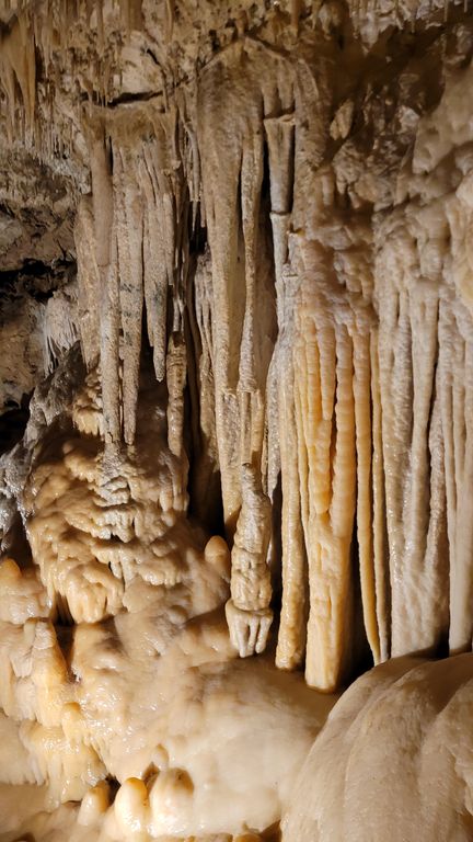 jardin-exotique-grotte-monaco-6